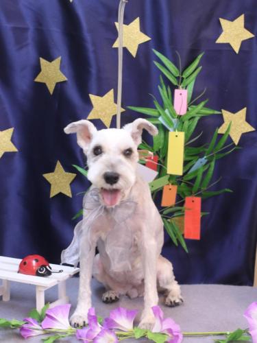 20230730クランちゃん